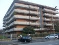 3 LOCALI PESCHIERA B. - BETTOLA